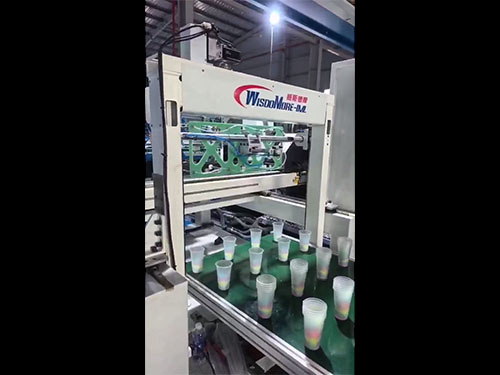 我司成功完成越南首批侧入式模内贴标设备安装调试 国际化战略迈出关键一步