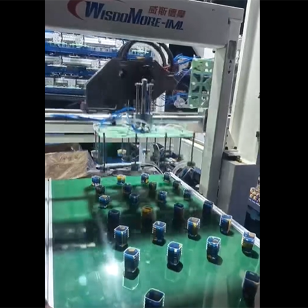 IML侧入式一出十二...